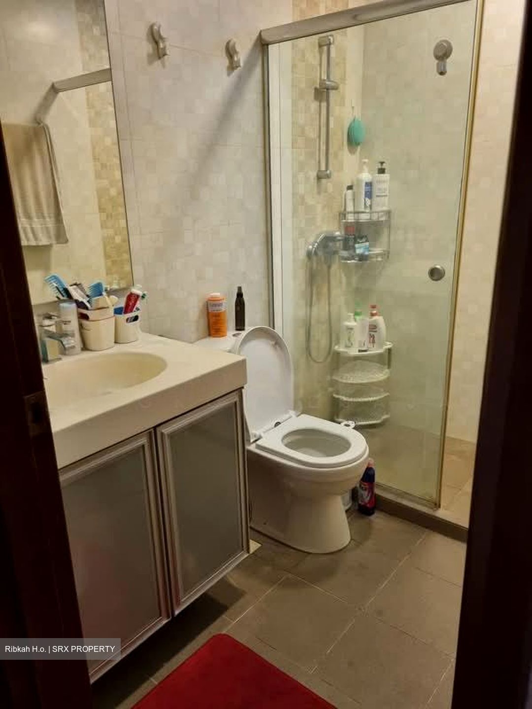 Simei Green Condominium (D18), Condominium #593571771